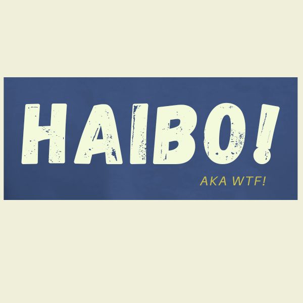 HAIBO BLUE MELANGE LOGO